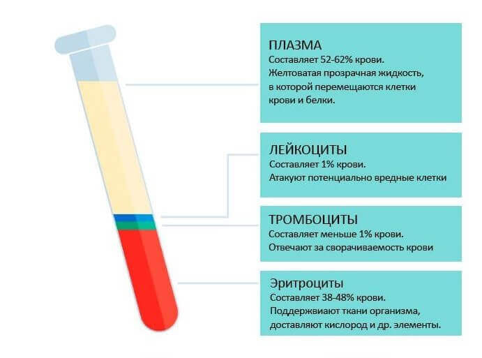 Плазма и состав крови